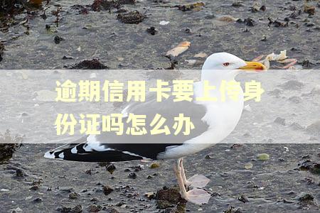 逾期信用卡要上传身份证吗怎么办
