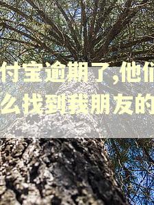 支付宝逾期了,他们怎么找到我朋友的电话