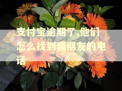 支付宝逾期了,他们怎么找到我朋友的电话