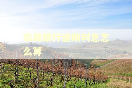 农商银行逾期利息怎么算