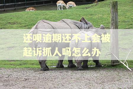 还呗逾期还不上会被起诉抓人吗怎么办