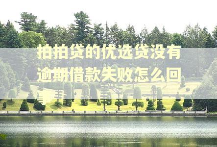 拍拍贷的优选贷没有逾期借款失败怎么回事 拍拍贷的优选贷没有逾期借款失败怎么回事