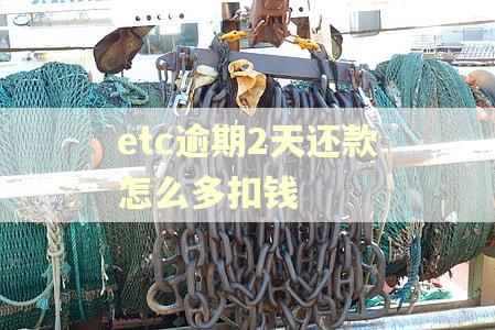 etc逾期2天还款怎么多扣钱