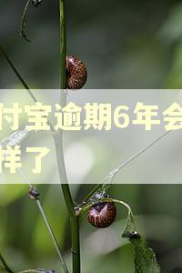 支付宝逾期6年会怎么样了 支付宝逾期6年会怎么样了