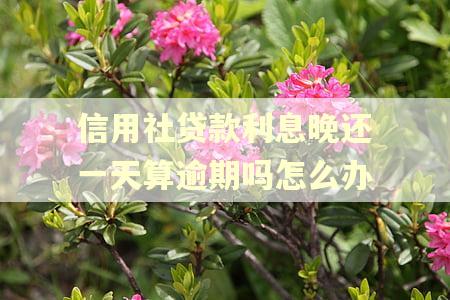 信用社贷款利息晚还一天算逾期吗怎么办