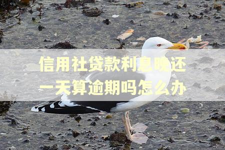 信用社贷款利息晚还一天算逾期吗怎么办