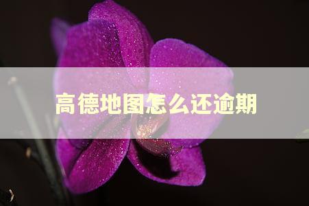 高德地图怎么还逾期 高德地图怎么还逾期