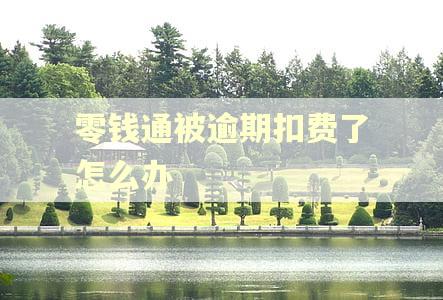 零钱通被逾期扣费了怎么办