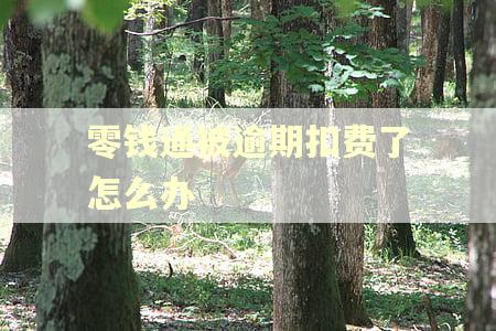 零钱通被逾期扣费了怎么办
