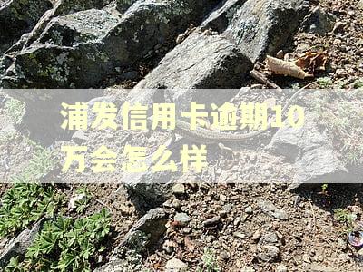 浦发信用卡逾期10万会怎么样