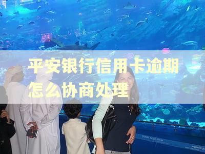 平安银行信用卡逾期怎么协商处理