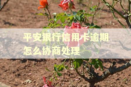 平安银行信用卡逾期怎么协商处理