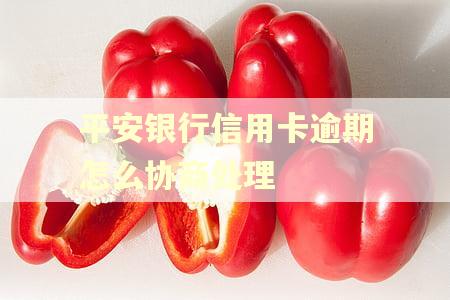 平安银行信用卡逾期怎么协商处理