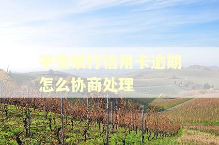 平安银行信用卡逾期怎么协商处理 平安银行信用卡逾期怎么协商处理