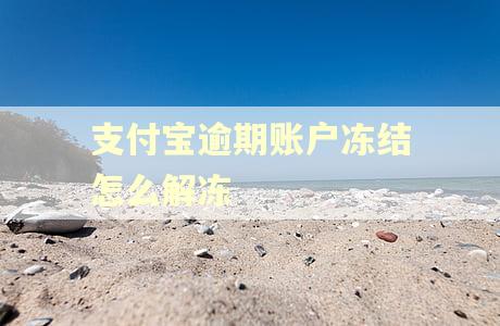 支付宝逾期账户冻结怎么解冻
