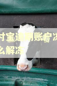 支付宝逾期账户冻结怎么解冻