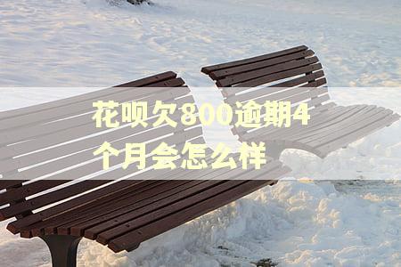 花呗欠800逾期4个月会怎么样