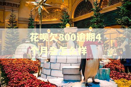 花呗欠800逾期4个月会怎么样 花呗欠800逾期4个月会怎么样
