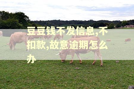 豆豆钱不发信息,不扣款,故意逾期怎么办