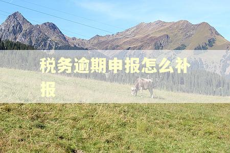 税务逾期申报怎么补报