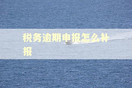 税务逾期申报怎么补报