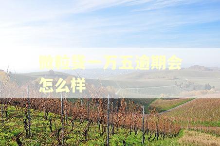 微粒贷一万五逾期会怎么样