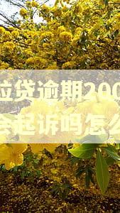 微粒贷逾期200块钱会起诉吗怎么办