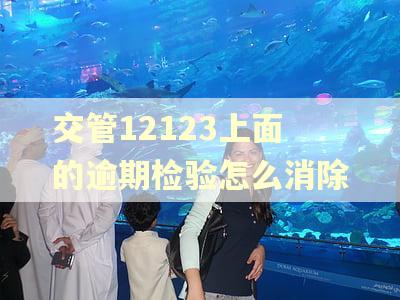 交管12123上面的逾期检验怎么消除