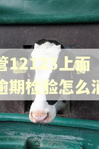 交管12123上面的逾期检验怎么消除