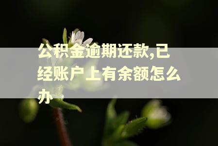 公积金逾期还款,已经账户上有余额怎么办 公积金逾期还款,已经账户上有余额怎么办