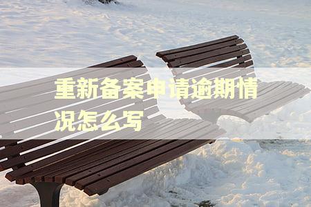 重新备案申请逾期情况怎么写