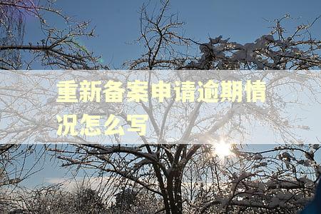 重新备案申请逾期情况怎么写