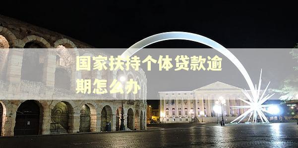 国家扶持个体贷款逾期怎么办