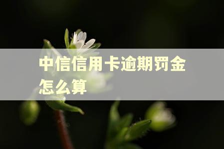 中信信用卡逾期罚金怎么算