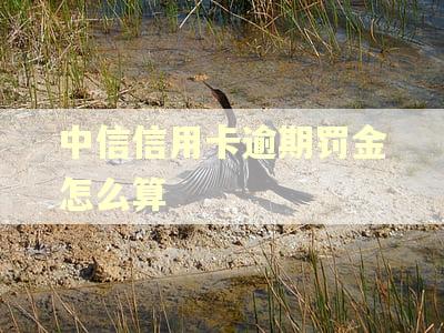 中信信用卡逾期罚金怎么算 中信信用卡逾期罚金怎么算
