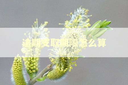 逾期支取期限怎么算 逾期支取期限怎么算