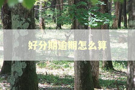 好分期逾期怎么算