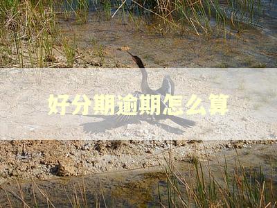 好分期逾期怎么算