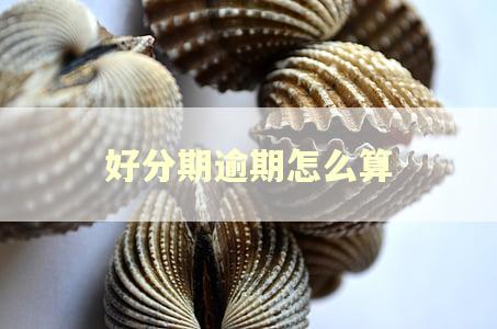 好分期逾期怎么算