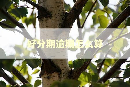 好分期逾期怎么算