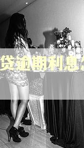 e招贷逾期利息怎么算