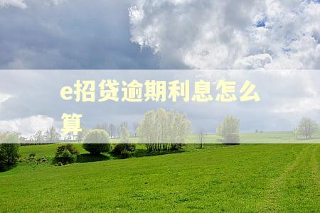 e招贷逾期利息怎么算