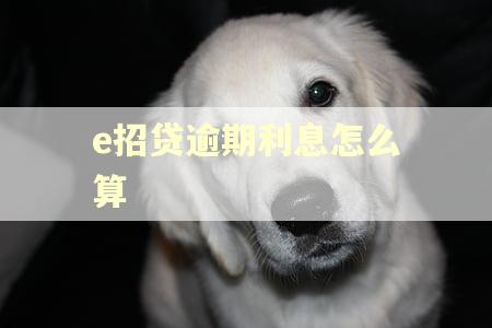 e招贷逾期利息怎么算