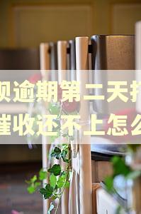 还呗逾期第二天打电话催收还不上怎么办