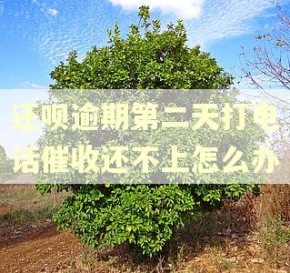 还呗逾期第二天打电话催收还不上怎么办