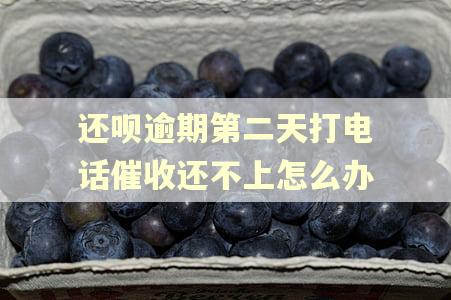 还呗逾期第二天打电话催收还不上怎么办 还呗逾期第二天打电话催收还不上怎么办