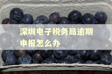 深圳电子税务局逾期申报怎么办