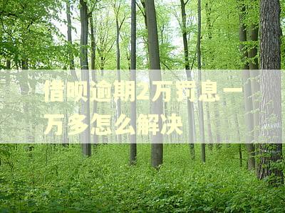 借呗逾期2万罚息一万多怎么解决