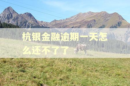 杭银金融逾期一天怎么还不了了