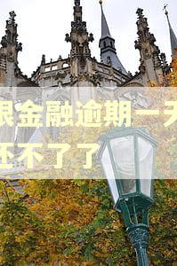杭银金融逾期一天怎么还不了了